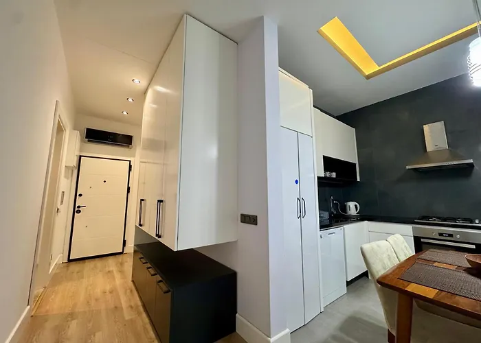 C Lounge Cleopatra Premium *